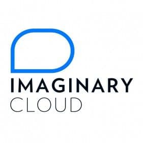 Software Developer